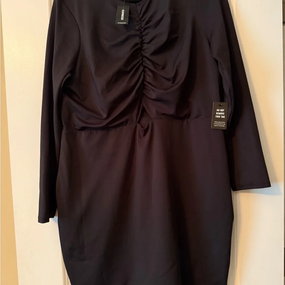 Express Elegant Black Ruched Dress - Picture 1 of 2